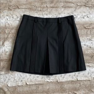 Limited Pleated Skirt